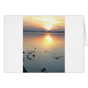 Cartão Sonnenuntergang am mit Enten