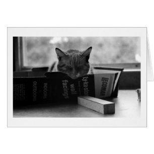 Cartão sono do gato da mãe