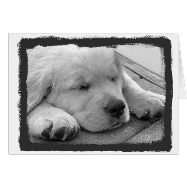 Cartão Sono dourado do filhote de cachorro (Frente Horizontal)