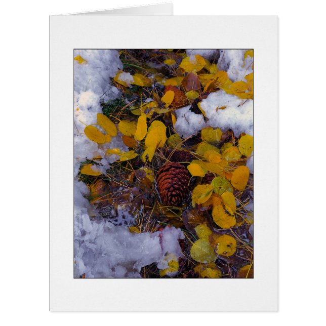 Cartão "Sopa de Árvore" (Frente)