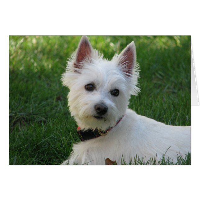 Cartão Sophie (Frente horizontal)