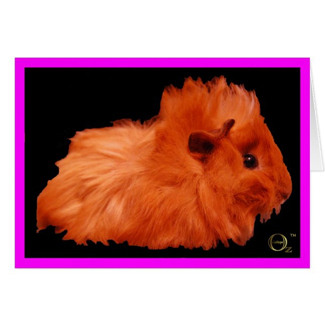 Cartão Sopro de pó (Frente Horizontal)