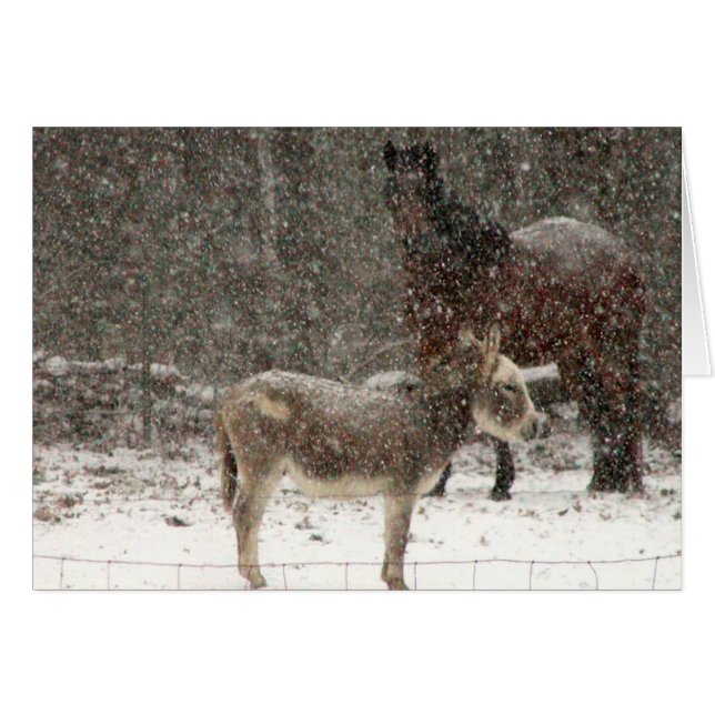 Cartão Sopro & torção (Frente Horizontal)