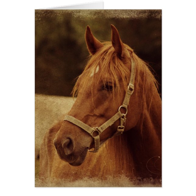 Cartão Sorrel Horse Grunge (Frente)