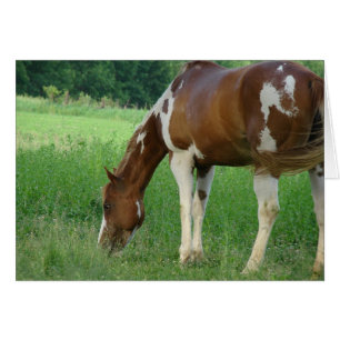 Cartão Sorrel Tobiano Paint Mare