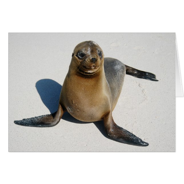 Cartão Sorria (Frente horizontal)