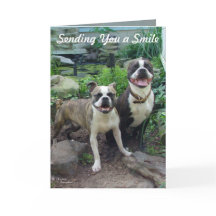 Sorria Pensando em você Sente sua falta