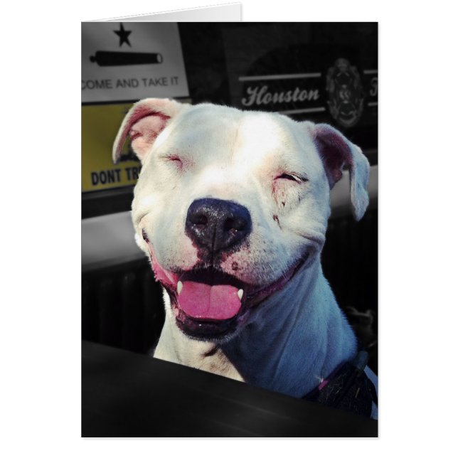 Cartão Sorriso (Frente)