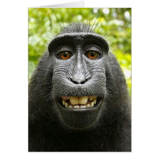 Cartão Sorriso Celebes Magras