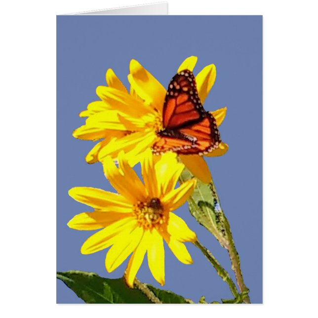 Cartão Sorriso da borboleta (Frente)