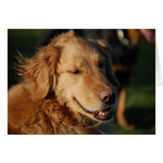 Cartão Sorriso de ouro