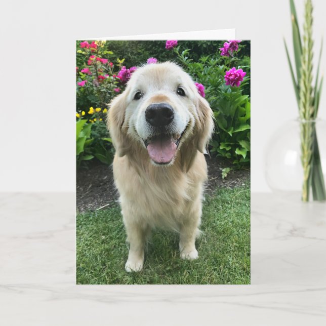 Cartão Sorriso de Ouro para o Retriever com Flores Obriga (Frente)
