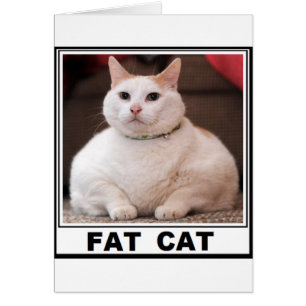 CARTÃO SORRISO DO CAT DO FAT