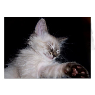 Cartão Sorriso sonolento do descanso de Louie