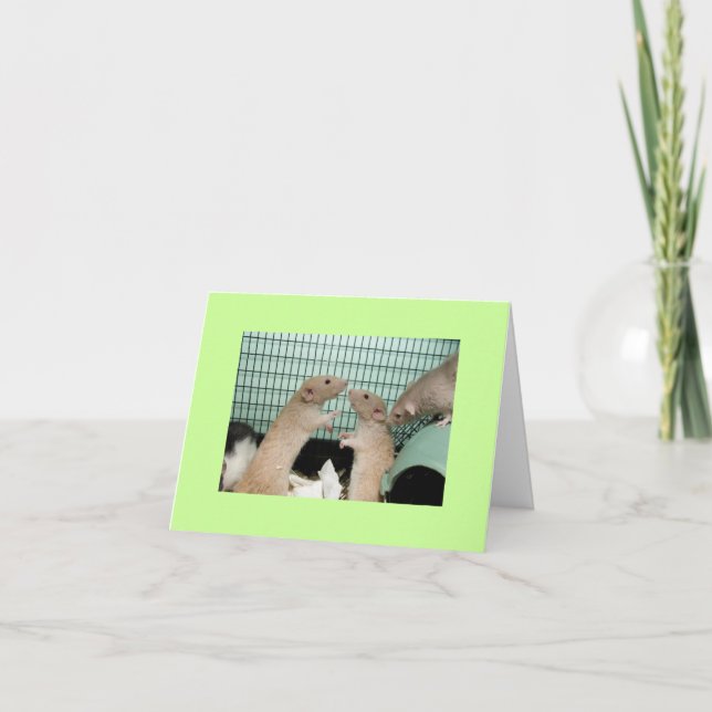 Cartão sorry (Frente)