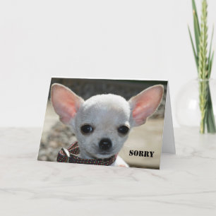 CARTÃO SORRY