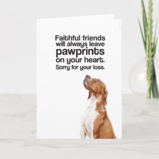 Cartão Sorry For Your Loss (Pointer) - Greeting Card