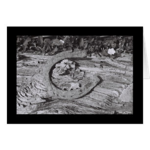 Cartão Sorte para fora vestida