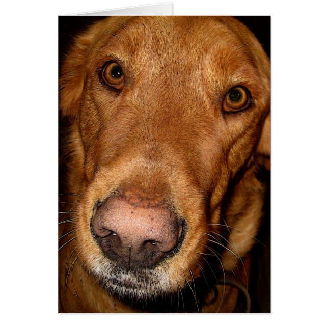 Cartão sortuda II (Frente)