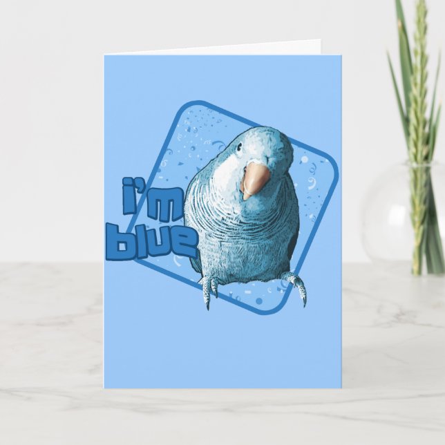 Cartão Sou Blue Quaker Parakeet Card (Frente)