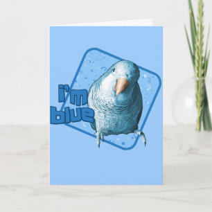Cartão Sou Blue Quaker Parakeet Card