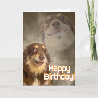 Cartão Sou Eu O Drama?