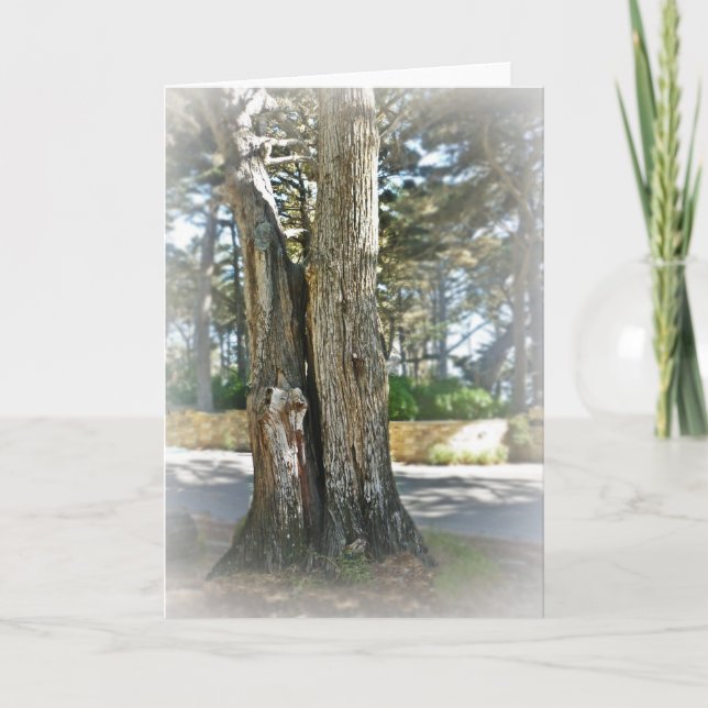 Cartão Soul Mates (Frente)