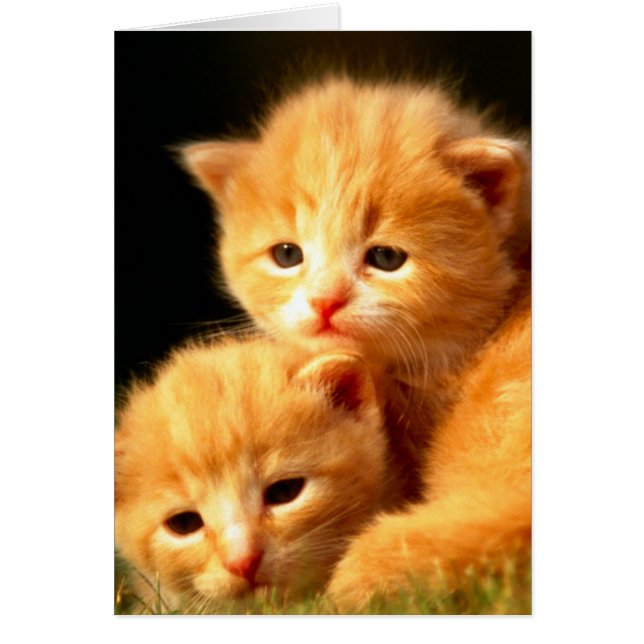 Cartão Soulmates (Frente)