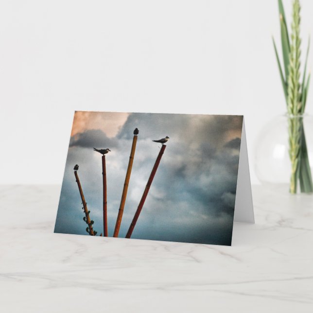 Cartão South Sulawesi (Frente)