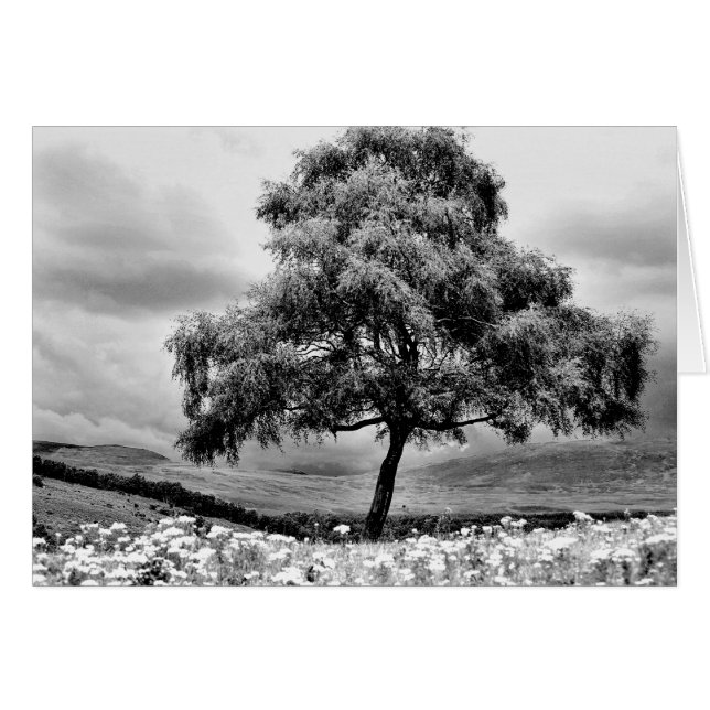 Cartão Sozinha (Frente Horizontal)