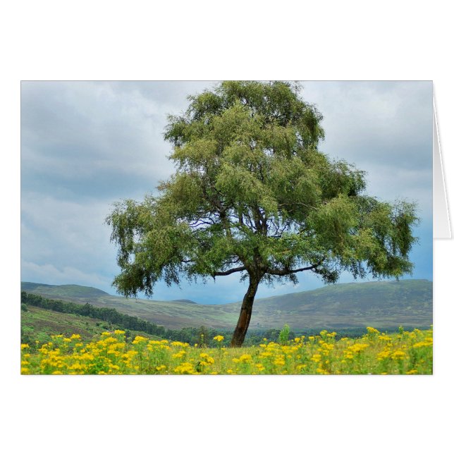 Cartão Sozinha de novo (Frente Horizontal)