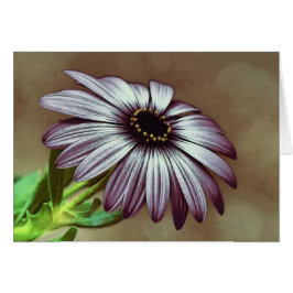 Cartão Sozinho ereto