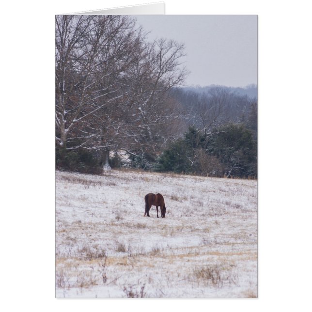 Cartão Sozinho Na Neve (Frente)