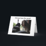 CARTÃO SPANIEL AND HAVANESE SAY HAPPY BIRTHDAY TO YOU<br><div class="desc">THIS SPANIEL AND HAVANESE ARE SO HAPPY TO SAY IT TO "YOUR FRIEND" ON "THEIR BIRTHDAY" JUST FOR YOU!</div>