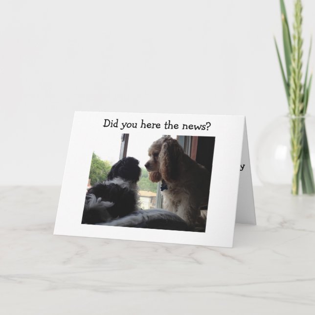 CARTÃO SPANIEL AND HAVANESE SAY HAPPY BIRTHDAY TO YOU (Frente)