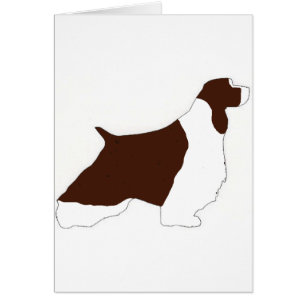 Cartão spaniel de gesso