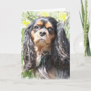 Cartão Spaniel de rei Charles descuidado pintado