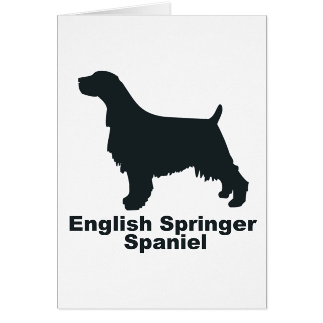 Cartão Spaniel de Springer inglês (Frente)