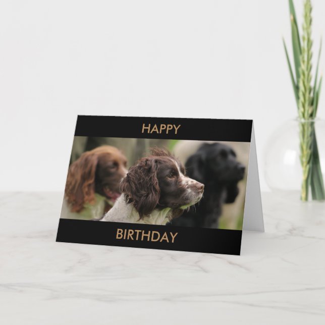 Cartão Spaniel Greetings Card (Frente)