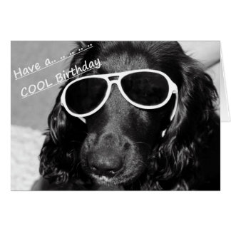 Cartão Spaniel legal