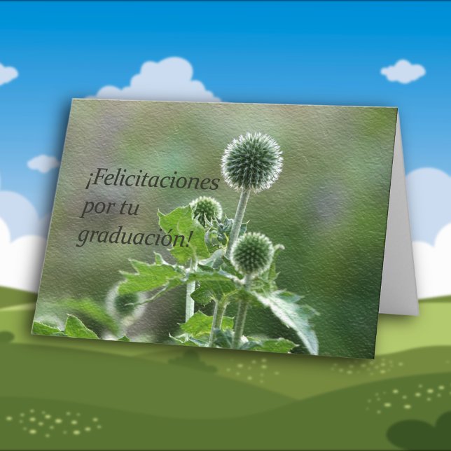 Cartão Spanish Graduation  Felicitaciones (Criador carregado)