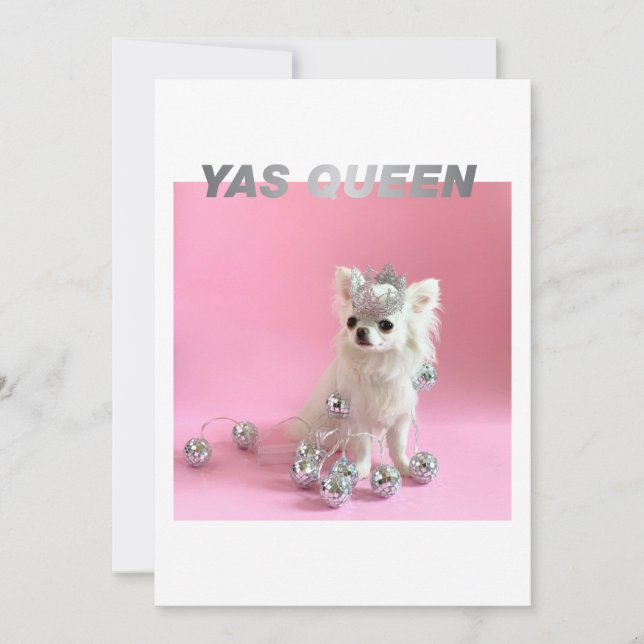 Cartão Sparkle The Tiny Chi | Foto de Parabéns para Cães (Frente)