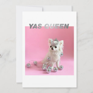 Cartão Sparkle The Tiny Chi Parabéns Yas Queen