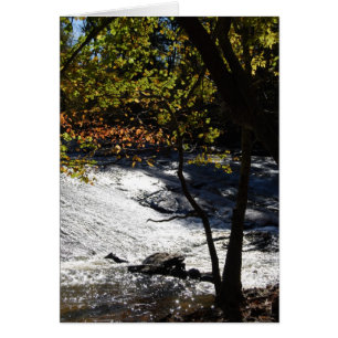 Cartão Sparkles do beira-rio