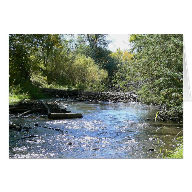 Cartão Sparkling no Sun (Frente Horizontal)