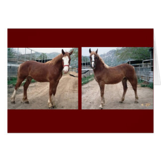 Cartão Sparky & Susie