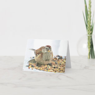 Cartão Sparrow e Seed - Placa de Vazio