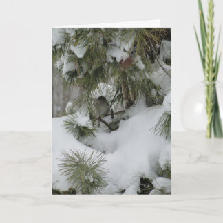 Cartão Sparrow In Snowy Evergreen