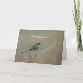 Cartão Sparrow in the Grass 2 Greeting Card