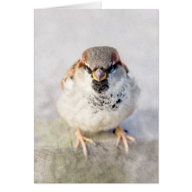 Cartão Sparrow - O Guerreiro (Frente)